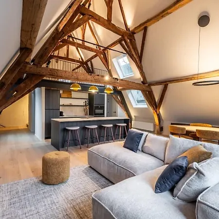 Huswell - City-view Loft With Wooden Beams And Mezzanine アパート ヘント