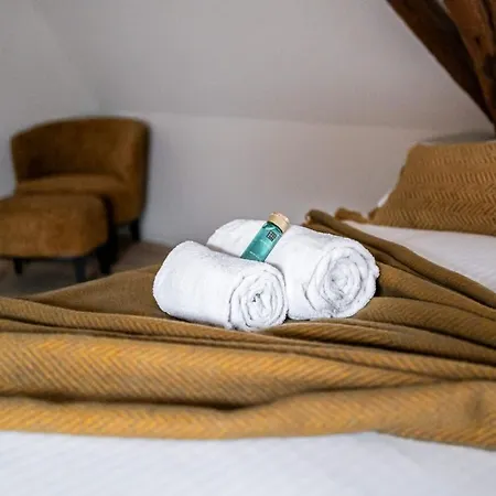 Huswell - City-view Loft With Wooden Beams And Mezzanine ヘント